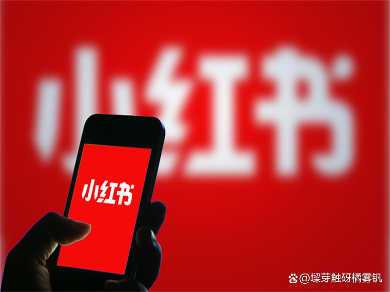 B站综合